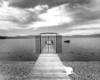 Farewell, Promised Land Project